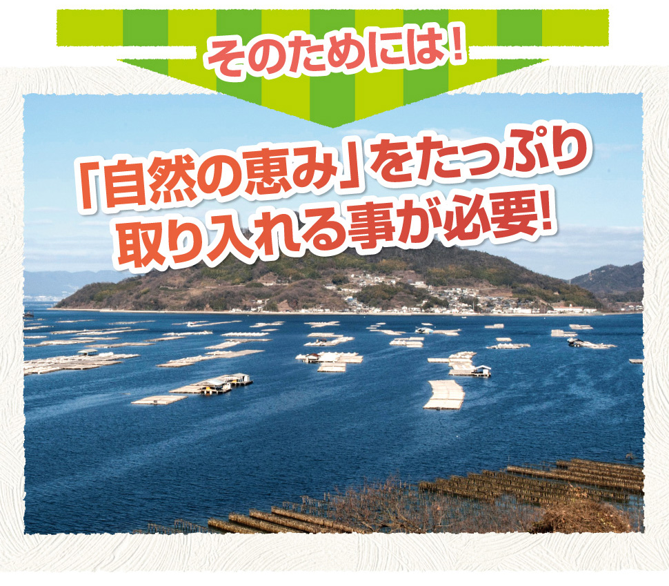 タウリン配合サプリ海乳EX